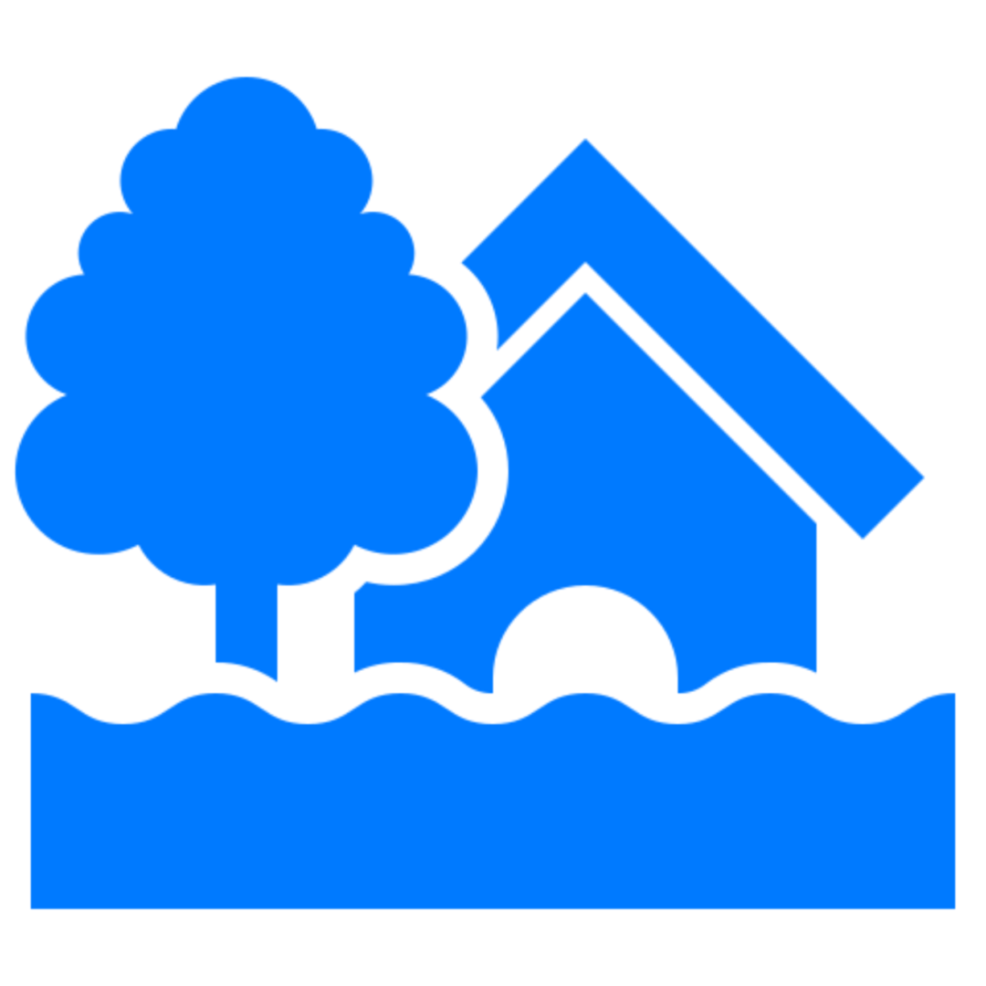 Wetland